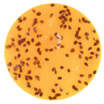 Arabeschi fruta de la pasión (maracuyá) Pregel