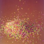 Fideo vegetal de colores