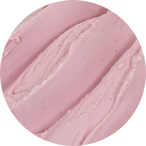 - Imported Image Fortefrutto arándano (mirtillo) Pregel - Imagen 1