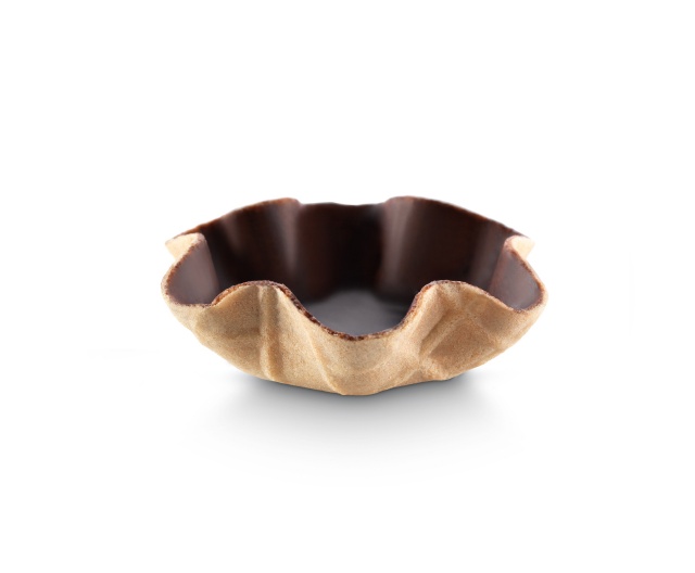 - Imported Image Mini tulipa cacao - Imagen 1