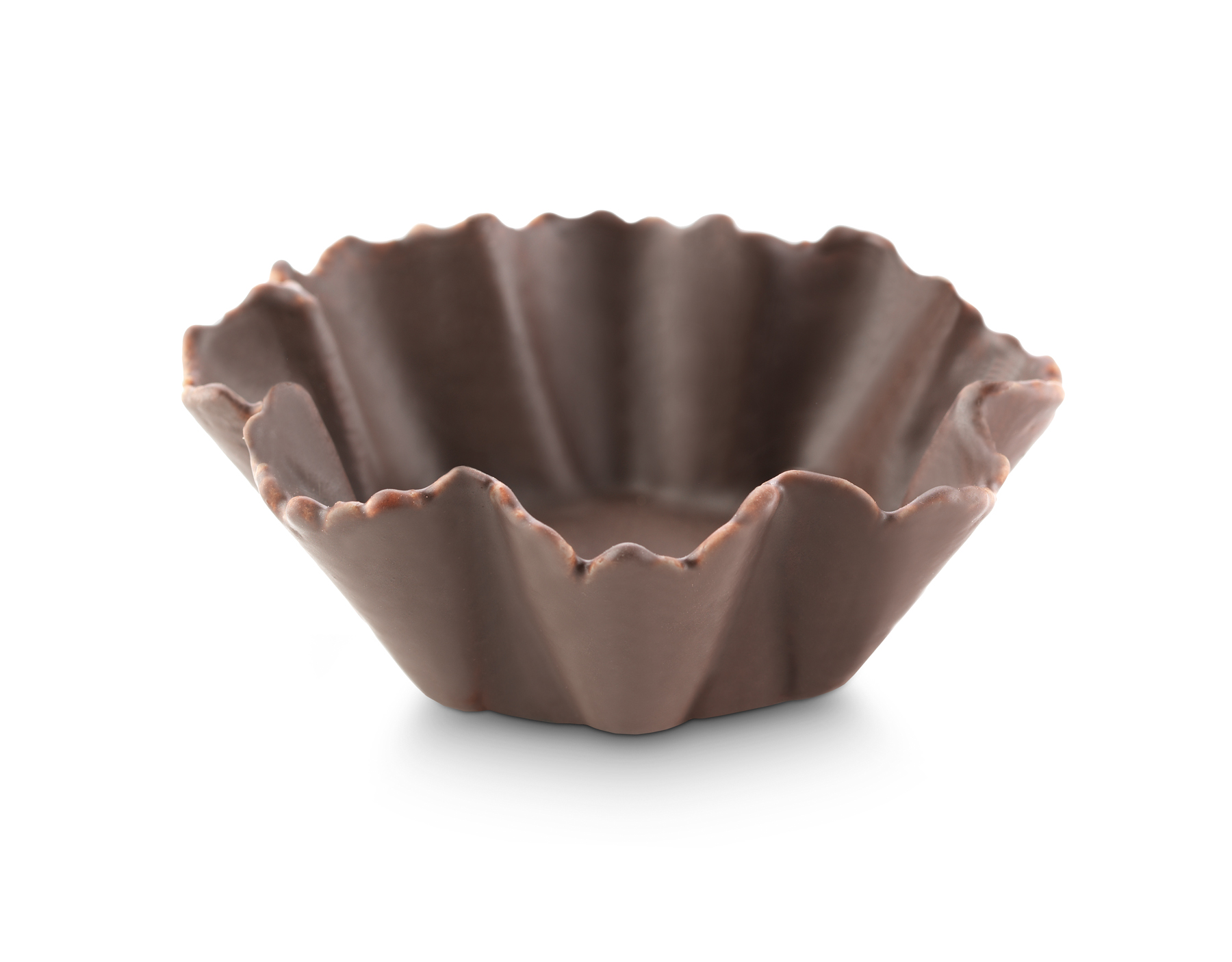 - Imported Image Tulipa flor - Imagen 1