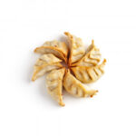 Hojas de pasta Gyoza