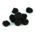 Mora Cultivada Congelada Sicoly