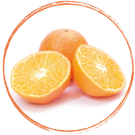 - Imported Image Sémola naranja congelada Fruits Rouges - Imagen 1