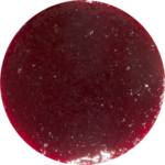 Salsa Dessert Topping cereza Pregel